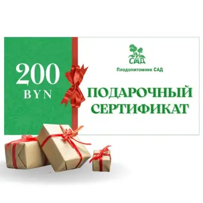 Подарочный сертификат на 200 BYN в Коломне