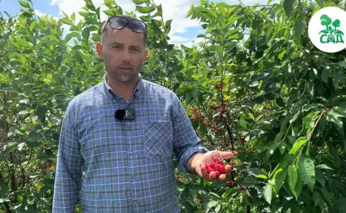 Превью видео