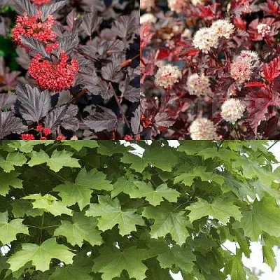 Комплект ОСЕННИЙ КОСТЕР в Коломне