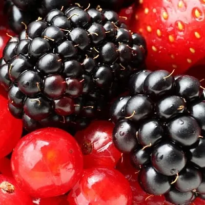 Ежевика  Ежевика в Коломне