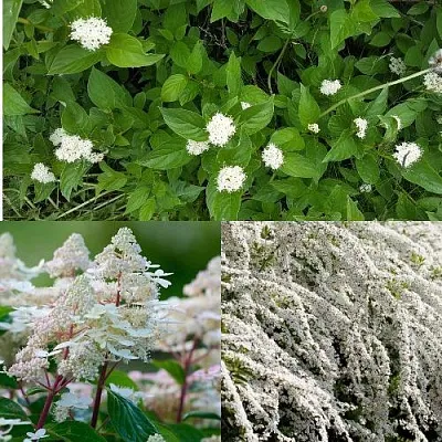 Комплект СКАНДИНАВСКИЙ СТИЛЬ в Коломне