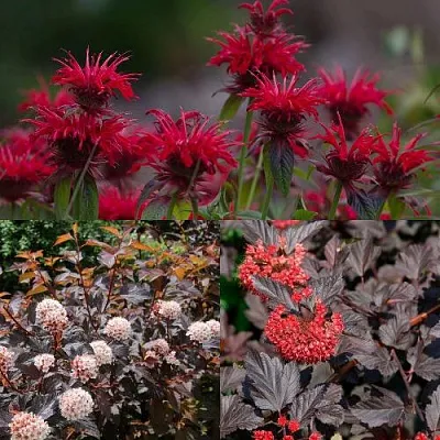 Комплект ОГНЕННЫЙ МИКС в Коломне