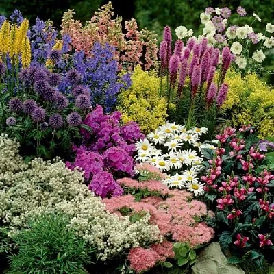 Травы в Коломне