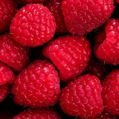 Малина  Малина в Коломне